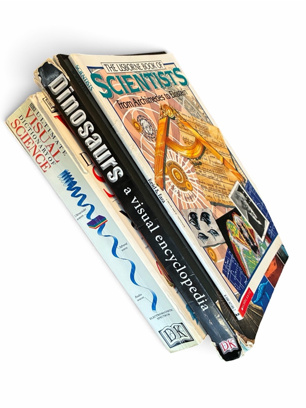 Science Book Lot Dinosaurs Visual Dictionary Science Usborne Kids Homeschool Set